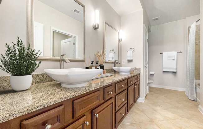A bathroom with a large mirror, a sink, and a potted plant.