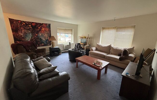 1 bed, 1 bath, 590 sqft, $1,325