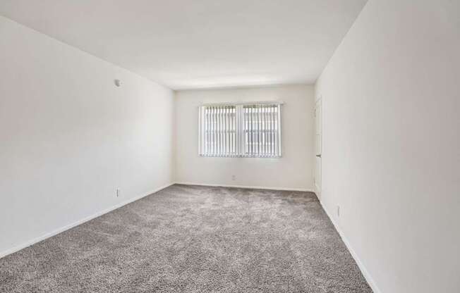 A room with a carpeted floor and a window with blinds.