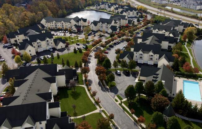 Aerial With Fall Trees