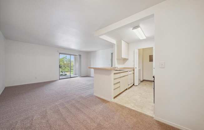 Spacious Living Area with Carpet