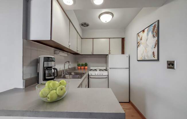 a kitchen with white cabinets and a bowl of green apples on the counter