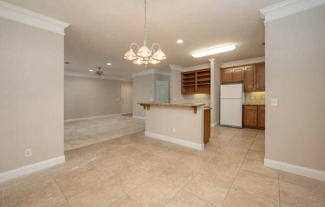 A kitchen area with a counter and cabinets.
