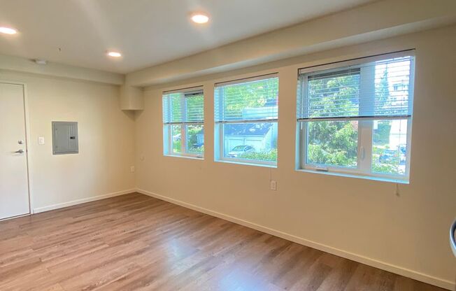 Studio, 1 bath, 175 sqft, $1,895, Unit 209-MFTE