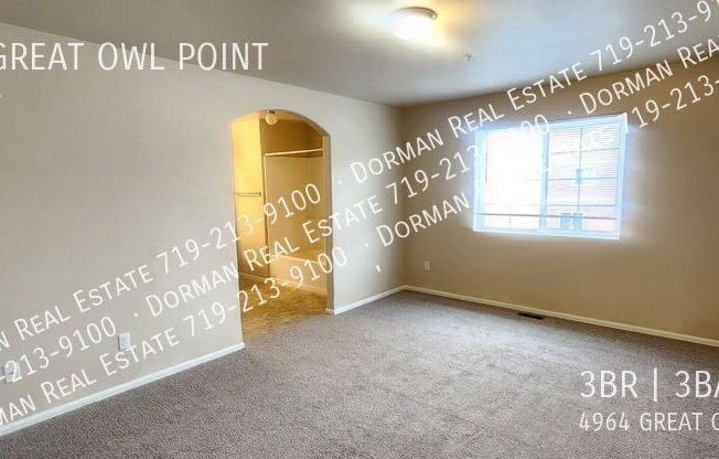4964 GREAT OWL PT