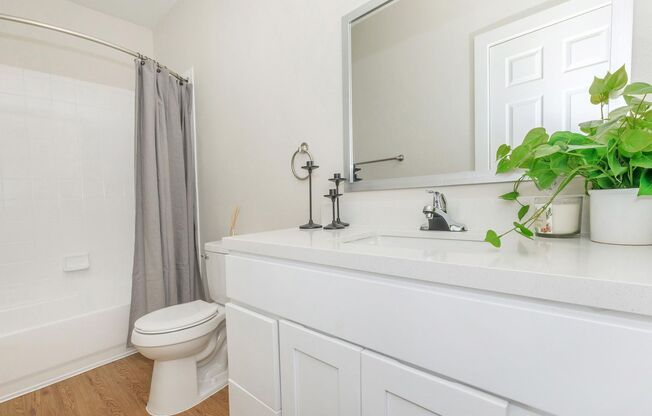 2 beds, 2.5 baths, 1,125 sqft, $1,500, Unit TP-1003