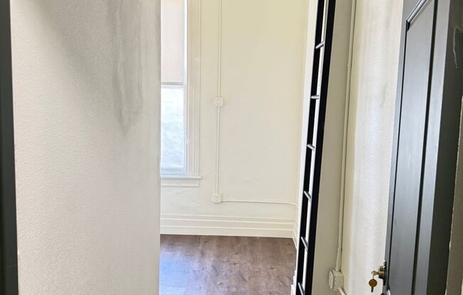 Studio, 1 bath, 166 sqft, $1,500, Unit 317