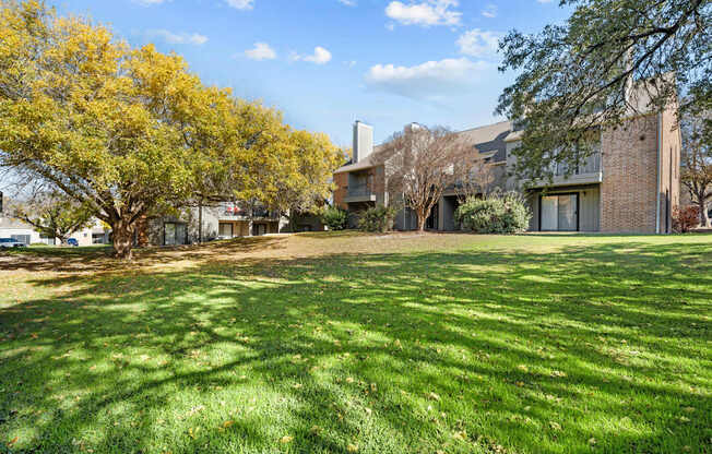 A tree with yellow leaves is in front of a building.