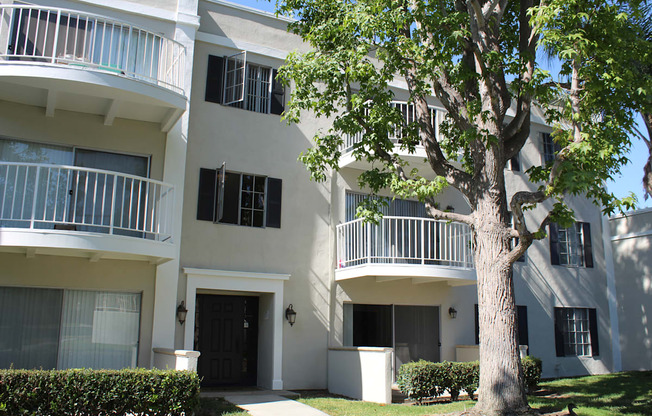 A tree in front of a white building with balconies.
