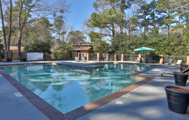 Sparkling Swimming Pool