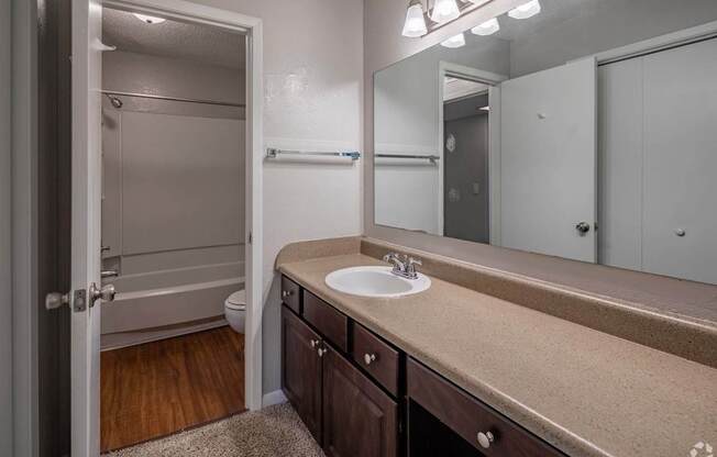 a bathroom with a sink and a mirror