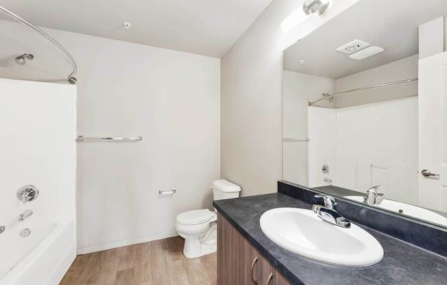 A bathroom with a white toilet and a black countertop.