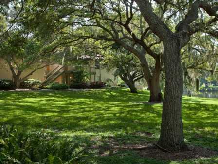 Beautiful, mature trees make for ideal scenery at L'Estancia, Florida, 34231