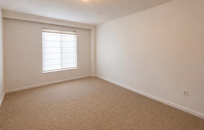 1 bed, 1 bath, 750 sqft, $3,150, Unit 14T