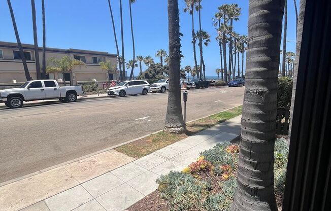 1 bed, 1 bath, 481 sqft, $2,495, Unit 01