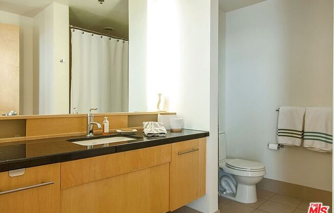 1 bed, 1 bath, 790 sqft, $2,600, Unit 1019