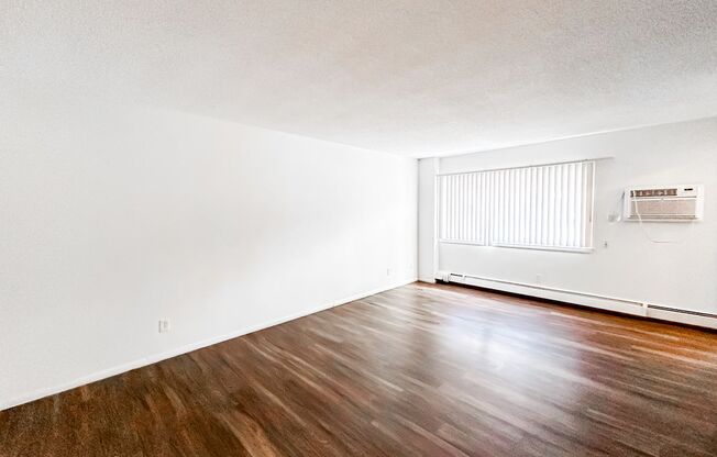 Studio, 1 bath, 400 sqft, $899, Unit 207