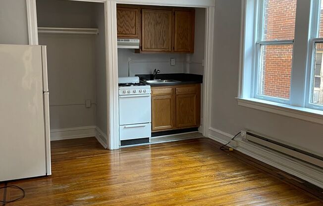 Studio, 1 bath, 330 sqft, $925, Unit 203