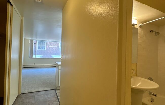 Studio, 1 bath, 360 sqft, $995, Unit 404