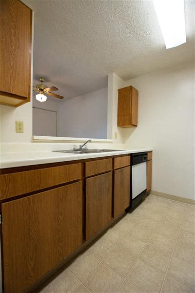 Single Basin Sinks Big Enough For All Of Your Cooking Needs at Creekside Square Apartments, Indianapolis, 46254