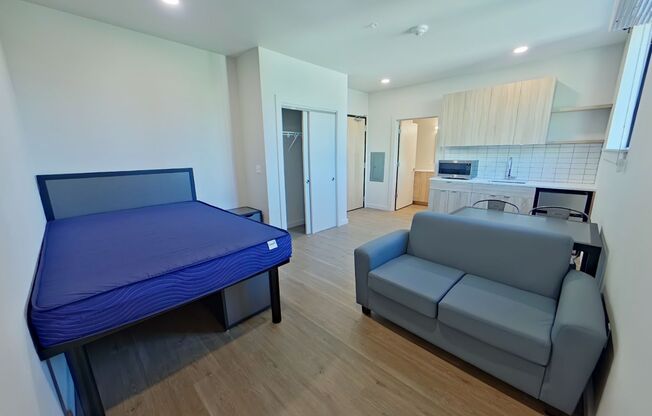 Studio, 1 bath, 314 sqft, $1,225, Unit 204