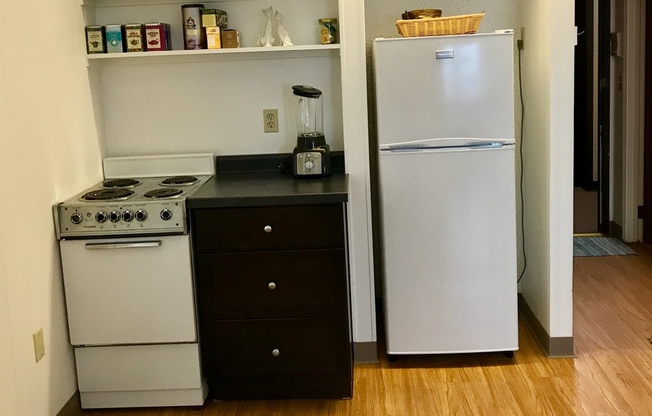 Studio, 1 bath, 450 sqft, $1,195, Unit 102