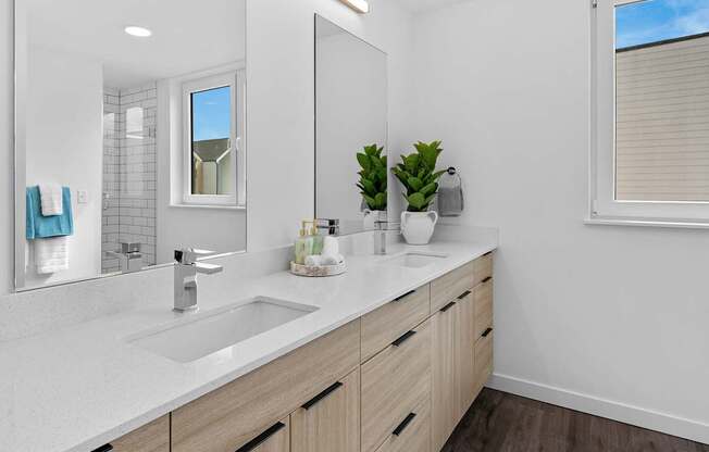 A bathroom with a white countertop and a large mirror.