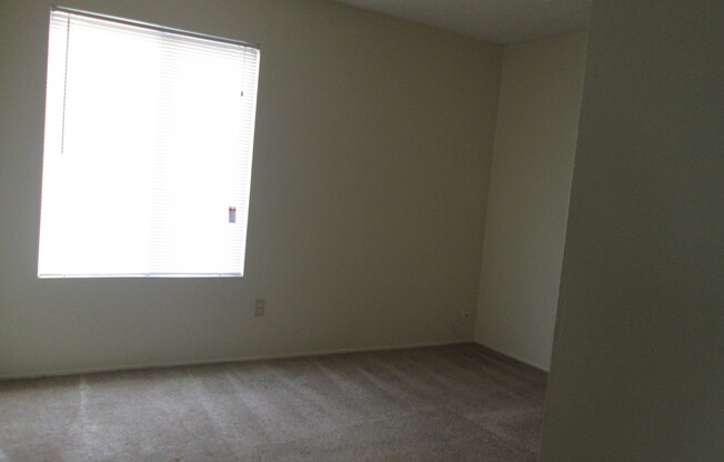 2 beds, 1 bath, $1,250