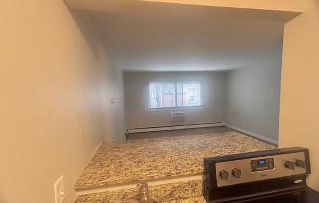 Studio, 1 bath, 300 sqft, $795, Unit 205