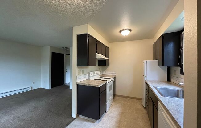 1 bed, 1 bath, 600 sqft, $895, Unit Unit 9