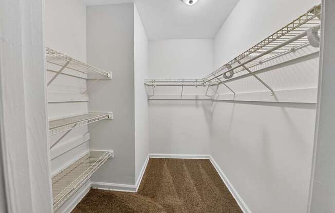 A walk-in closet with white shelving and a brown carpet.