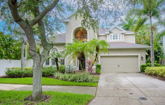 South Tampa Pool Home - 4 Bedrooms - 3 Bathrooms