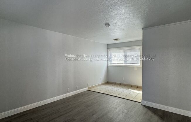 RECENTLY UPDATED & Move-In Ready 1BR/1BA Apartment