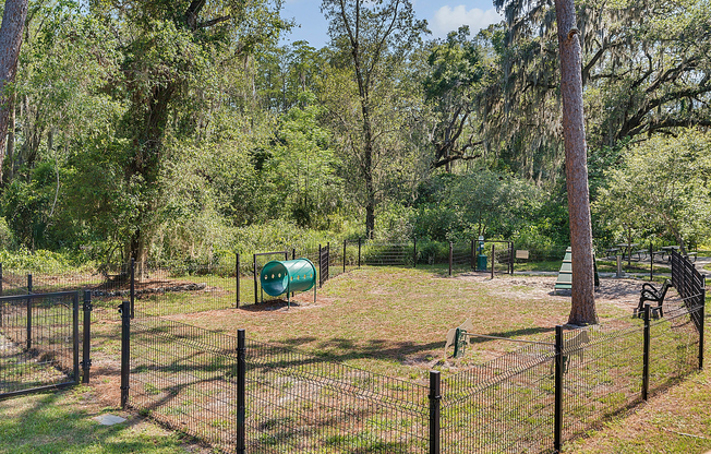 12780-olive-jones-road--tampa--fl-33625---42