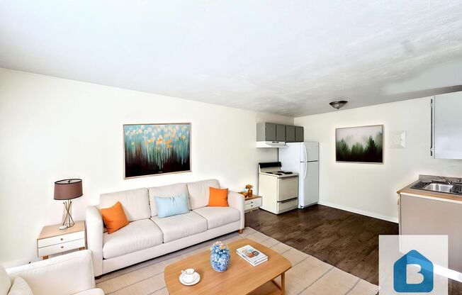 1 bed, 1 bath, 500 sqft, $799, Unit Unit 303
