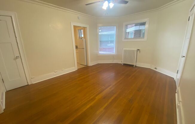 Studio, 1 bath, 385 sqft, $1,049, Unit 207