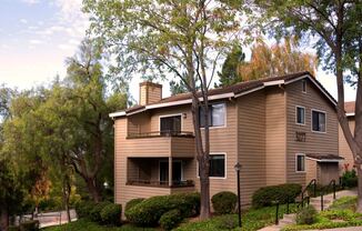 a house with trees and shrubs in front of it