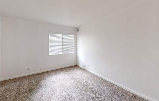 A room with a carpeted floor and a window with blinds.