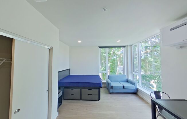 Studio, 1 bath, 314 sqft, $1,225, Unit 301