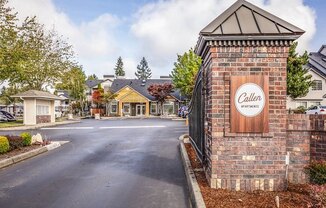 Callen in Lacey