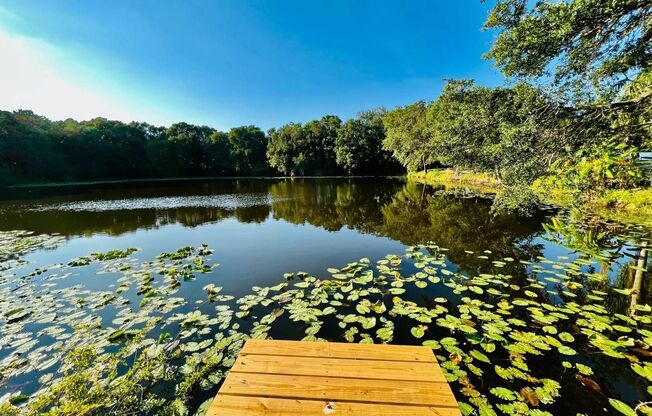 Renovated Water View and POOL home at central Brandon!