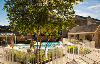 Sparkling Swimming Pool