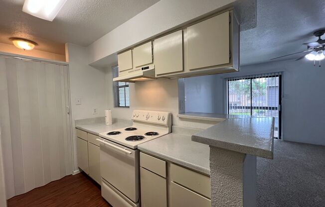1 bed, 1 bath, 660 sqft, $900, Unit 26-1310
