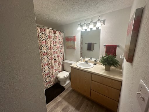 an open bathroom with a sink and a toilet