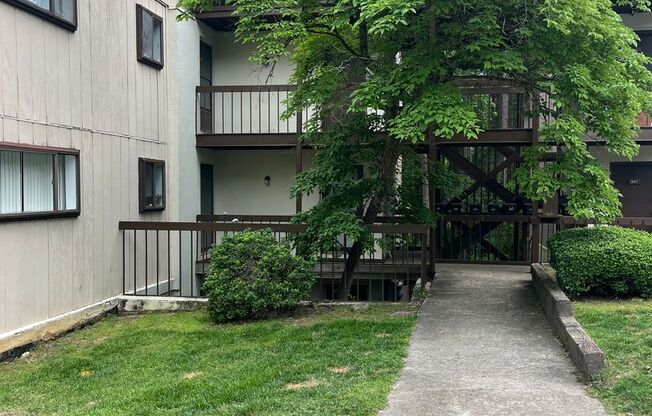 North Raleigh Move-In Ready Condo, On Ground Floor With Secluded Patio!