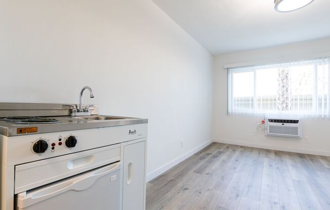 Studio, 1 bath, 350 sqft, $1,295, Unit 111