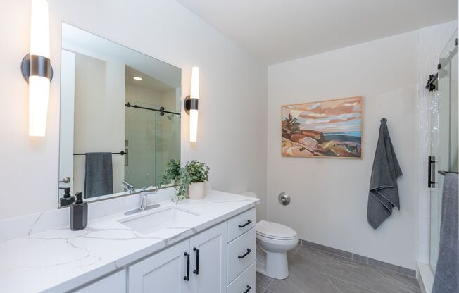 Studio, 1 bath, 555 sqft, $1,550, Unit 202