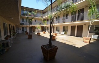 1 bed, 1 bath, 600 sqft, $1,750, Unit 317