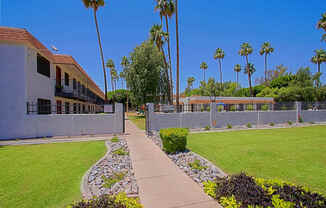 a sidewalk leading to a building with palm trees in the background