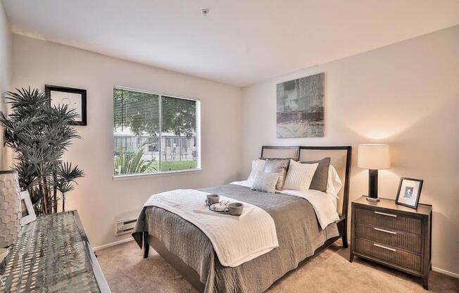 Hayward Apartments - Newly Renovated Bedroom With Plush Carpet Flooring, High Ceilings, And A Window With Blinds